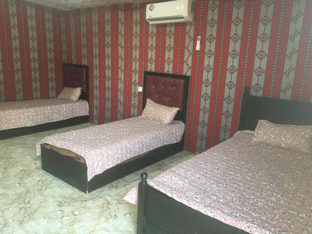 Hôtel Oryx Camp à Wadi Rum Extérieur photo