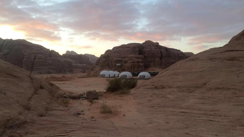 Hôtel Oryx Camp à Wadi Rum Extérieur photo