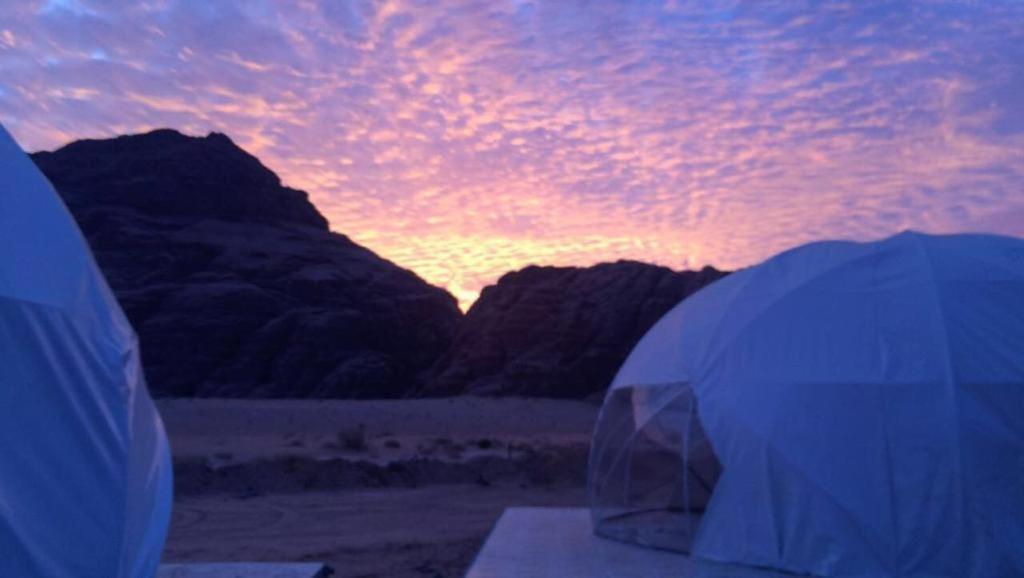 Hôtel Oryx Camp à Wadi Rum Extérieur photo